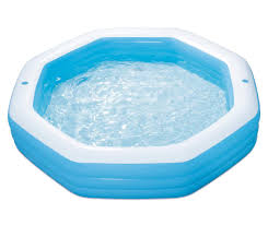 100X100X22 Octagonal Family Pool 2